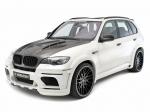 BMW Flash EVO M by Hamann 2010 года
